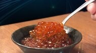 “秋サケ”記録的不漁でイクラ高騰「もう扱えない商材」　アメリカ産で食べ放題も　北海道の海で“ハワイの魚”シイラが豊漁