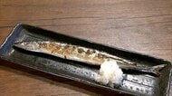 「神様に願ってます」秋の味覚サンマがまさか不漁予想　漁解禁するも今年は“小ぶり”　来遊量予想は過去最低で高騰懸念