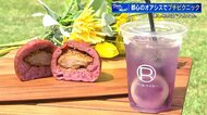 Ｅピース横の芝生広場「ヒロパ」で楽しむ　サンフレ応援カツが丸…
