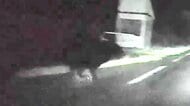 【ヒグマ速報】道路わきから飛び出してきた“黒いケモノ”と衝突する瞬間＿サイドミラーは折れ後部座席ドアに大きな凹み…運転手の男性にケガなし…クマとみられる動物は姿を消す＜北海道歌志内市＞