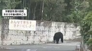 宇都宮市でクマ目撃相次ぐ　商店街の防犯カメラに逃げる人の様子「早く行っていたら死んでいたかも」　小中学校が休校に