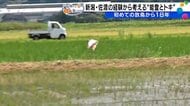能登でのトキとの共生の課題とは？　佐渡では44億円の経済効果