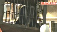 秋田・クマ3頭が“立てこもり”丸1日に及んだ捕獲作戦　目撃者が…