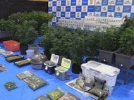 末端価格5千万円以上を押収…乾燥大麻を販売目的で所持か 韓国籍の45歳男と30歳妻を逮捕 “マトリ”に情報提供あり捜索