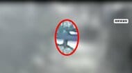 「痛い！助けて！」女性襲撃の瞬間　刃物で刺され病院に搬送　52歳男を逮捕　「意味が分からない知らない」容疑を否認