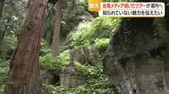 山形でそば・納豆もち味わい山寺に上る　台湾富裕層向け海外メディア記者招き体験会　山形