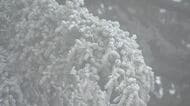 「10月に雪って初めて」志賀高原で“一面の雪”　標高1830ｍの「陽坂ゲート」付近　「東方連山」の初冠雪を観測　中央アルプス・千畳敷カールも雪に覆われる　長野
