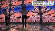 越前松島水族館「海洋館」リニューアル　ガラス床の水槽はLEDビジョン設置でより没入感が　“沖縄の海”イメージした映像に波の音も