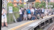 一部の“撮り鉄”がマナー違反の危険な撮影…イベント列車が警笛…