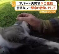 火災に巻き込まれたネコを「人工呼吸」と「酸素マスク」で救助　ネコたちは数分後に回復　アメリカ・カリフォルニア州