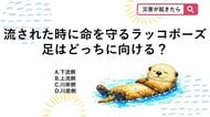 【防災クイズ】川で流されたら「ラッコ」になれ！？生存率を上げる正しい体勢は？