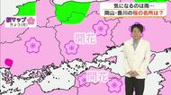 【桜の見頃はいつ？】気象予報士の光岡香洋さんが岡山・香川各地の今週の天気とあわせて解説