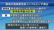 野鳥から高病原性鳥インフル検出　紫波町で発見　野鳥の感染は今季初　岩手県