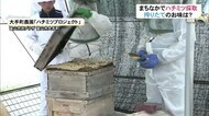 街なかで「ハチミツ」を採取…都市と自然の共生