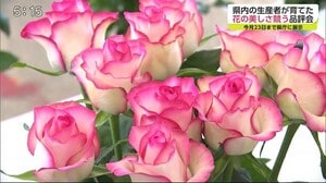 県内の生産者が育てた花の美しさ競う品評会 23日まで県庁に展示【佐賀県佐賀市】