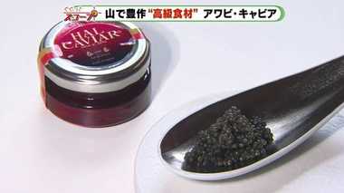 イギリス王室も認めた味!海の高級食材キャビアが過疎化が進む山間部を救う【静岡発】
