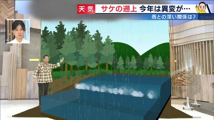 晩秋の風物詩に非常事態　「雨少なく遡上できない」サケにとって“受難の年”か