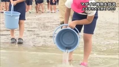 小学生がマダイの稚魚を放流／上天草市大矢野町【熊本】