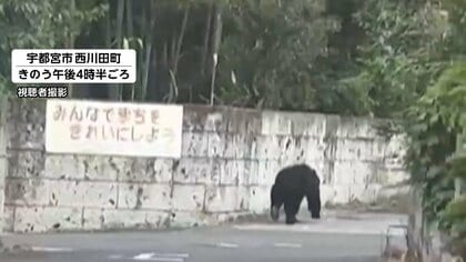 宇都宮市でクマ目撃相次ぐ　商店街の防犯カメラに逃げる人の様子「早く行っていたら死んでいたかも」　小中学校が休校に