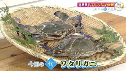 秋のごちそう・ワタリガニのうま味を余すことなく丸ごと堪能　家庭の炊飯器でも作れる絶品「ワタリガニの釜飯」【岡山・香川発】