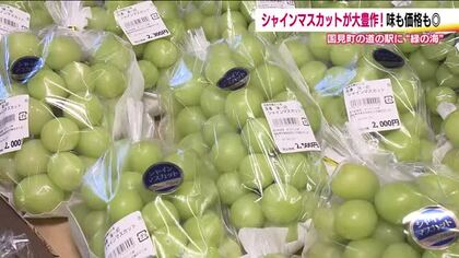 福島の秋の主力！？シャインマスカット　生産者増加に大豊作で手ごろな価格に　道の駅では売り場面積拡大