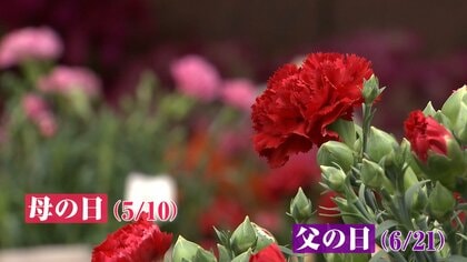 物価高影響なし？母・父の日贈り物　親は“コト”子供は“モノ”を