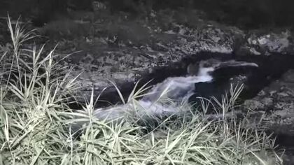 子どもと水遊びの４０代父親が溺れる　意識がなく搬送先の病院で死亡確認　広島市・水内川