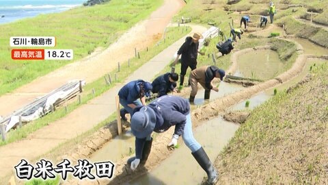 連休明けの週末　東京都心は朝から強風　石川「白米千枚田」で田植え始まる　9月上旬頃に収穫
