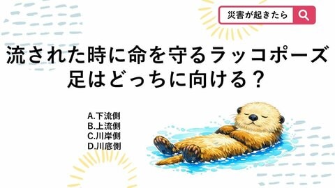 【防災クイズ】川で流されたら「ラッコ」になれ！？生存率を上げる正しい体勢は？