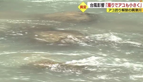 興津川