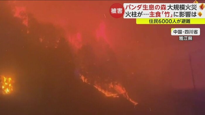大規模な森林火災が発生した中国・四川省