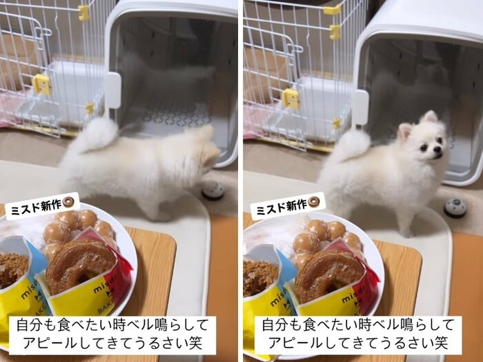 ベルを鳴らしてこの顔