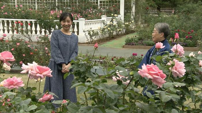 生田緑地ばら苑で笑顔を見せる佳子さま