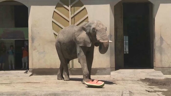 口へ運んで食べる