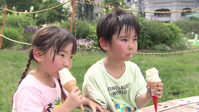 夏本番の暑さ
