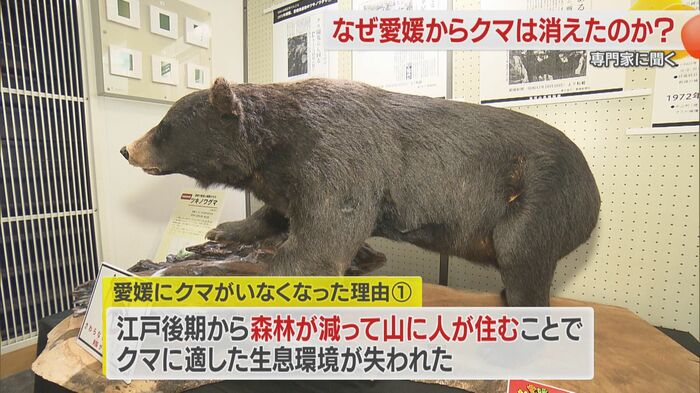 愛媛では森林利用でクマの捕獲が進んだ