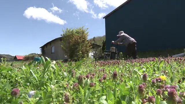 よく働きよく寝る 規則正しい生活も長生きの秘訣