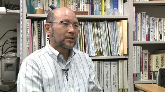 クマの生態などを研究している秋田県立大学・星崎和彦教授