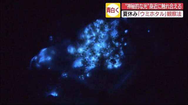「まるで宇宙のよう…」真夏の夜の