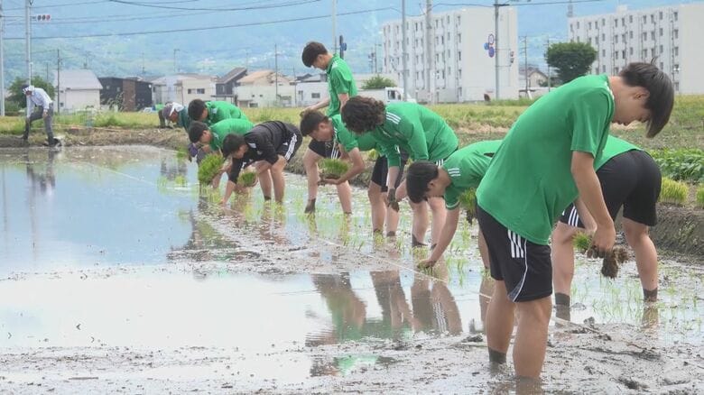 サッカーのホームスタジアムに近接　その名も「松本山雅田」でユース選手らが田植え　秋には稲刈りも　収穫したコメは選手の寮の食事に｜FNNプライムオンライン