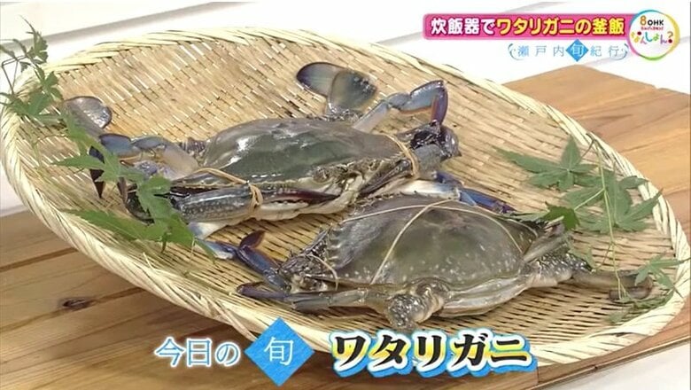 秋のごちそう・ワタリガニのうま味を余すことなく丸ごと堪能　家庭の炊飯器でも作れる絶品「ワタリガニの釜飯」【岡山・香川発】｜FNNプライムオンライン