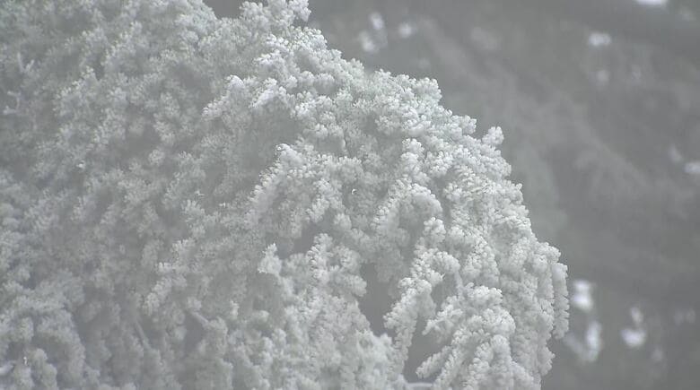 「10月に雪って初めて」志賀高原で“一面の雪”　標高1830ｍの「陽坂ゲート」付近　「東方連山」の初冠雪を観測　中央アルプス・千畳敷カールも雪に覆われる　長野｜FNNプライムオンライン