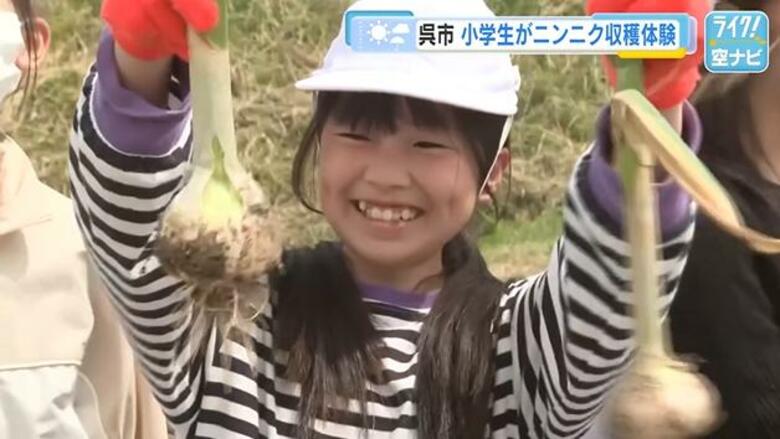 「ニンニク、ゲットだぜ！」小学生が自分たちで育てた『プクニンちゃん』を収穫　広島・呉市｜FNNプライムオンライン