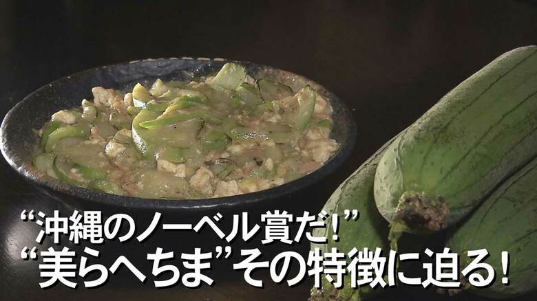 「沖縄のノーベル賞だ！」島野菜“ヘちま”に新品種誕生！果肉が黒くならない!? その名も「美らヘチマ」｜FNNプライムオンライン