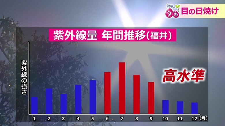 紫外線は6月から秋にかけて増加