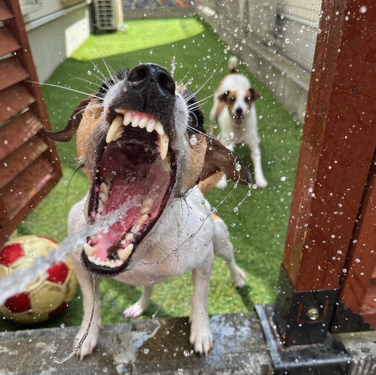 提供：あずもなさん