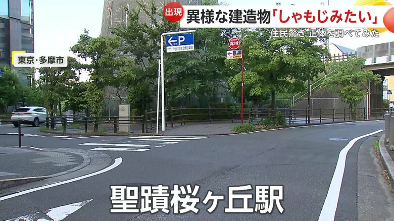 聖蹟桜ヶ丘駅のすぐ近くに建っていた物体