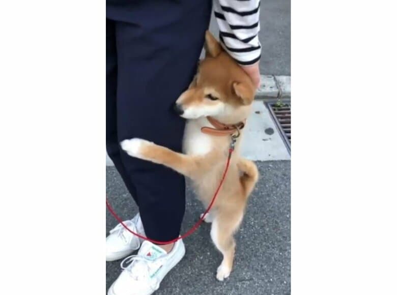 提供：torakichi602さん