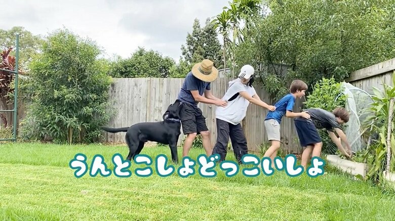 家族全員でカブ抜き「うんとこしょどっこいしょ！」