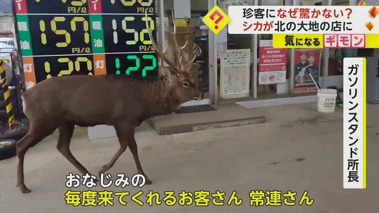 （羅臼アポロ石油）